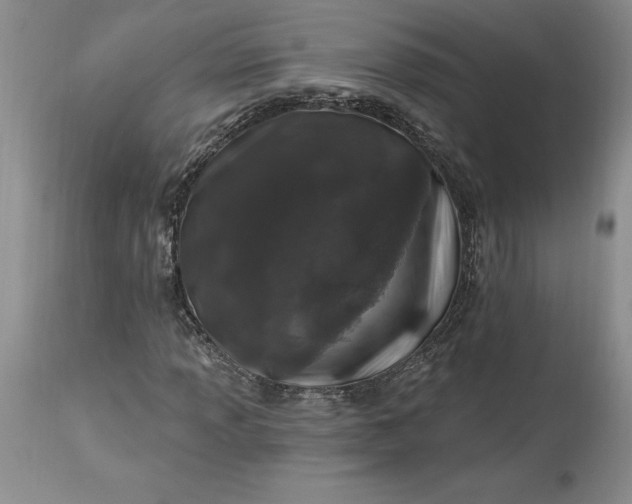 X0000113581013200910021647