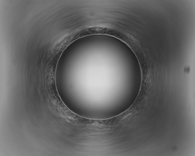 X0000113581014200910021647