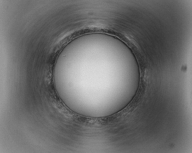 X0000113581015200910021647