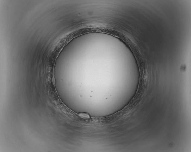 X0000113581016200910021647