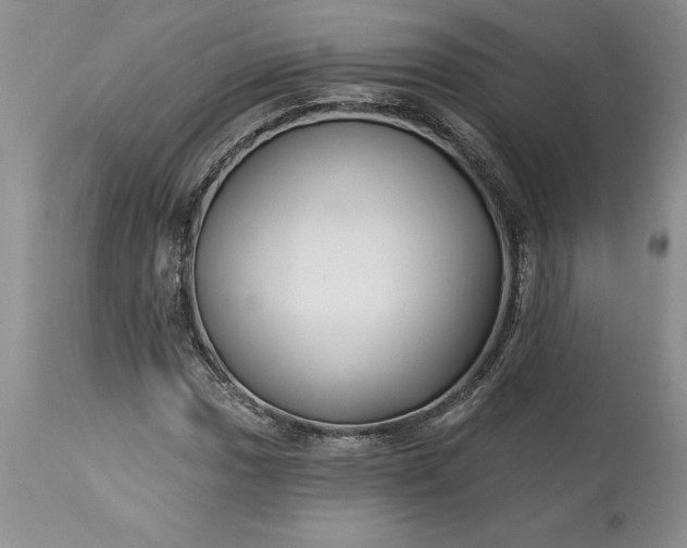 X0000113581017200910021647