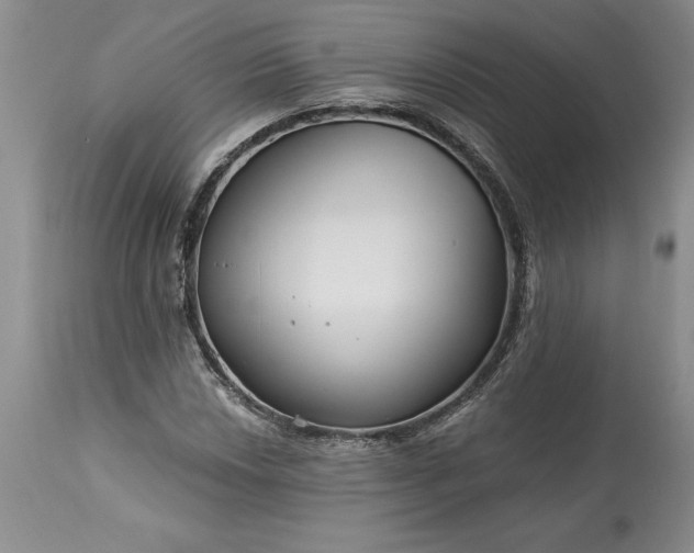 X0000113581018200910021647