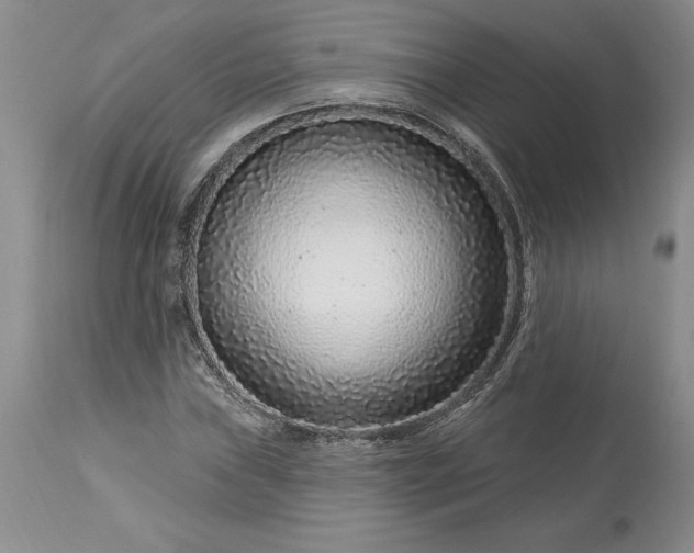 X0000113581019200910021647