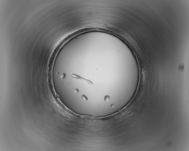 X0000113581020200910021647