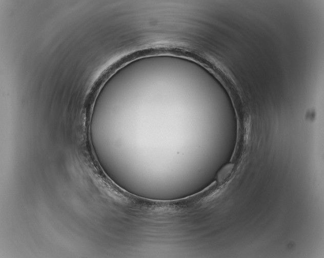 X0000113581021200910021647