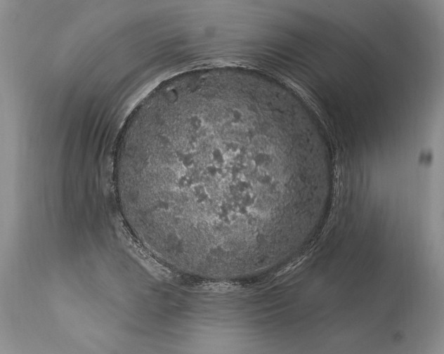 X0000113581023200910021647