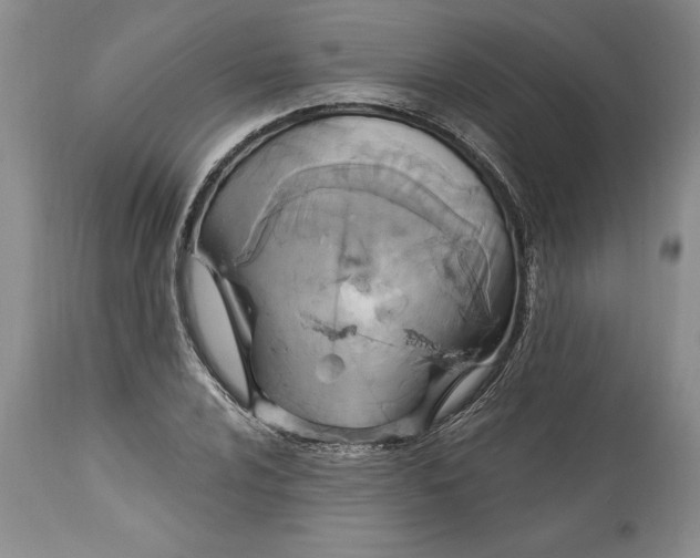 X0000113581024200910021647