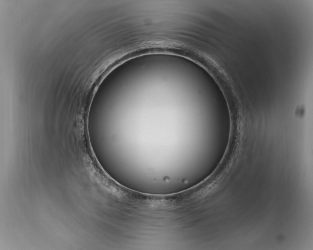 X0000113581025200910021647