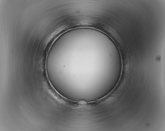 X0000113581026200910021647