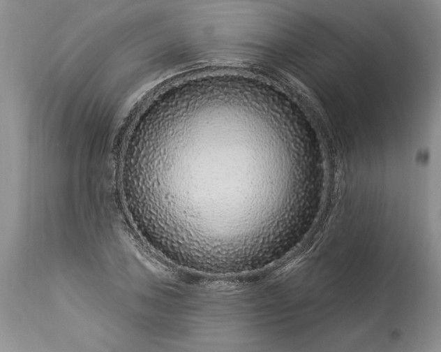 X0000113581027200910021647