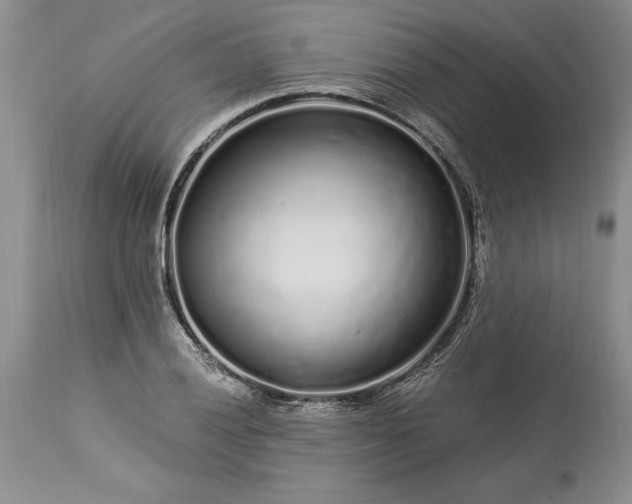 X0000113581028200910021647