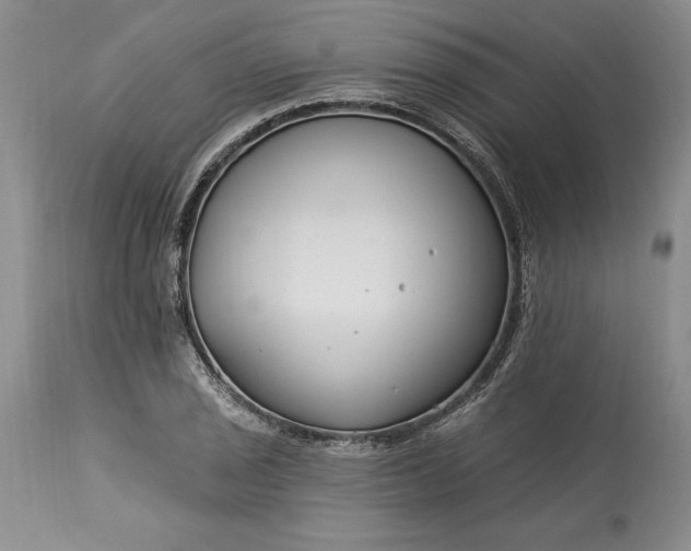 X0000113581029200910021647