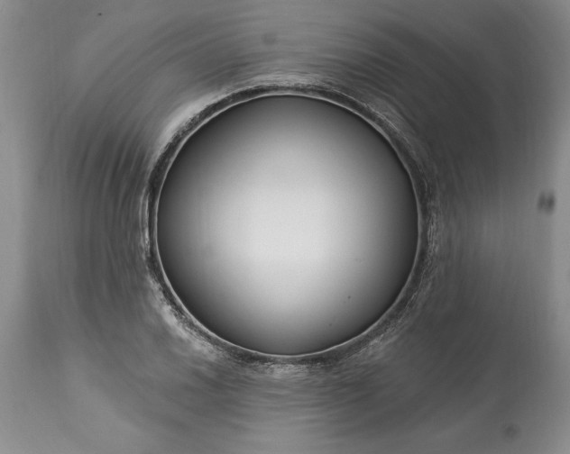 X0000113581030200910021647