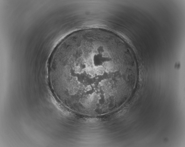 X0000113581031200910021647