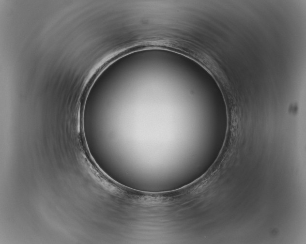 X0000113581036200910021647