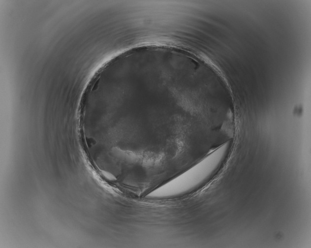 X0000113581037200910021647