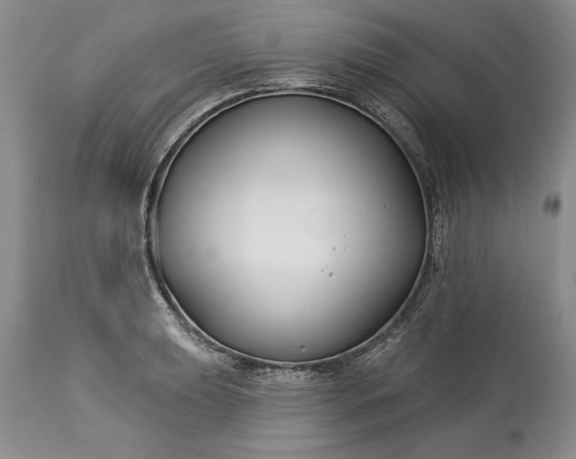 X0000113581039200910021648