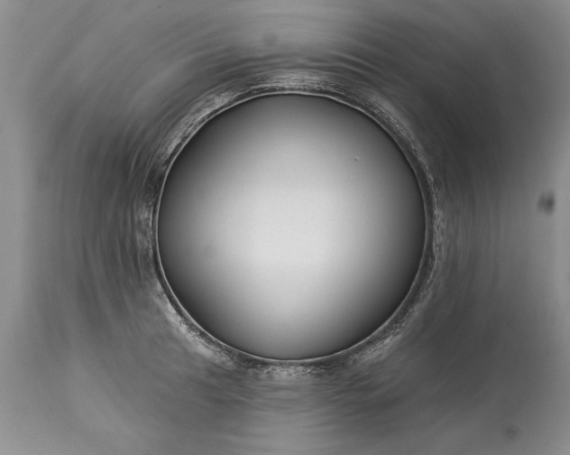 X0000113581041200910021648