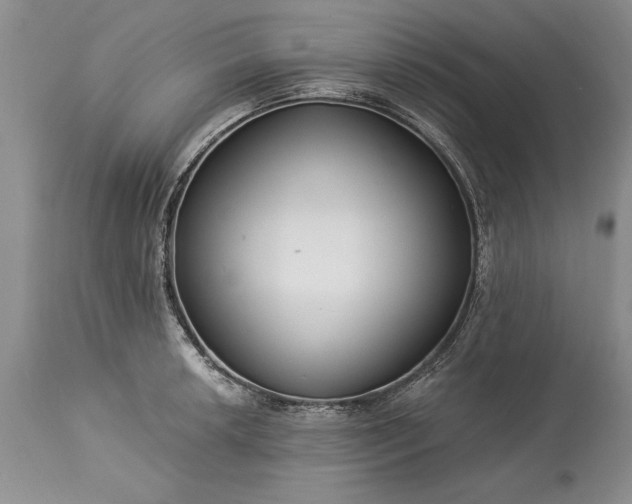 X0000113581042200910021648