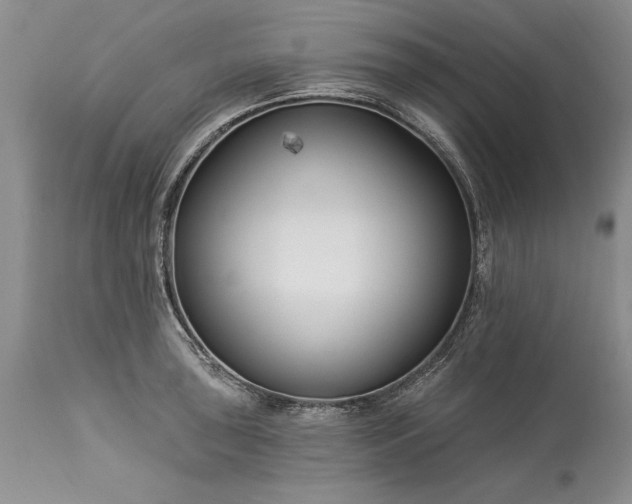 X0000113581043200910021648