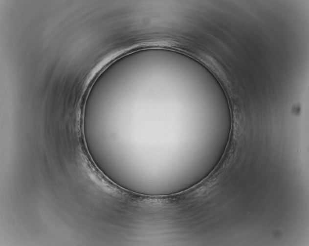 X0000113581044200910021648