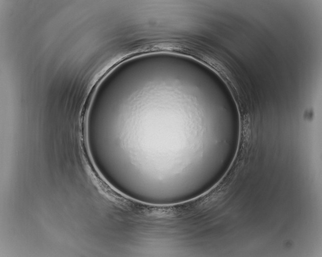 X0000113581047200910021648