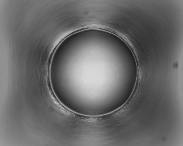 X0000113581048200910021648