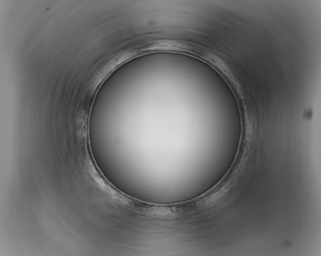 X0000113581049200910021648