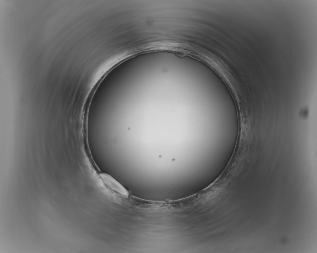 X0000113581050200910021648