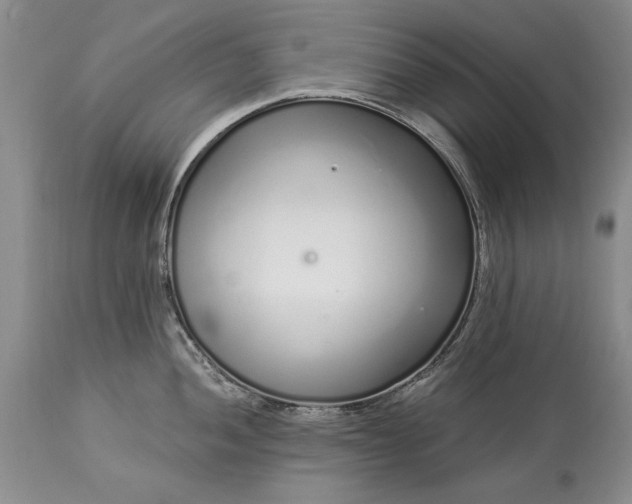 X0000113581052200910021648