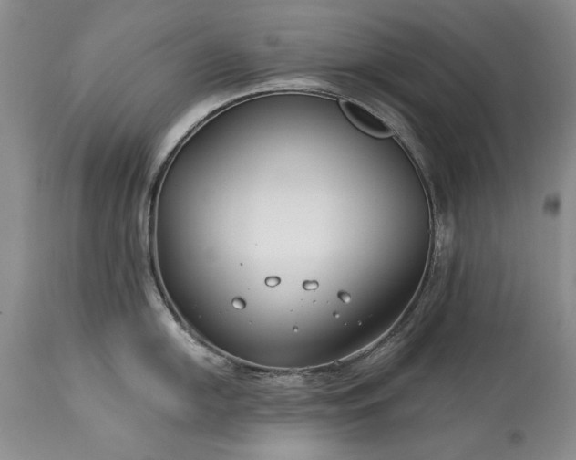 X0000113581054200910021648