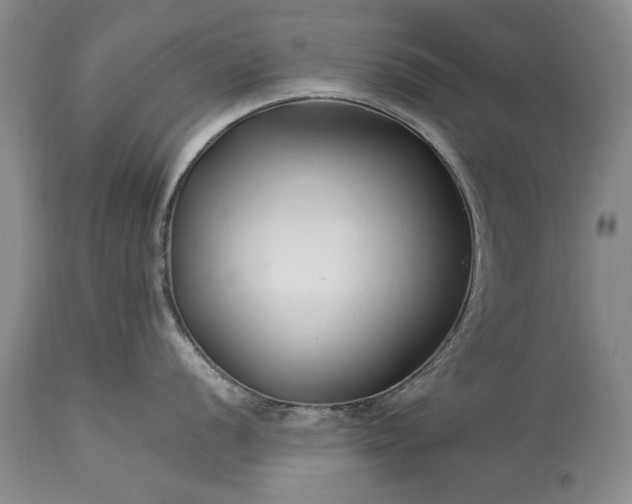 X0000113581056200910021648