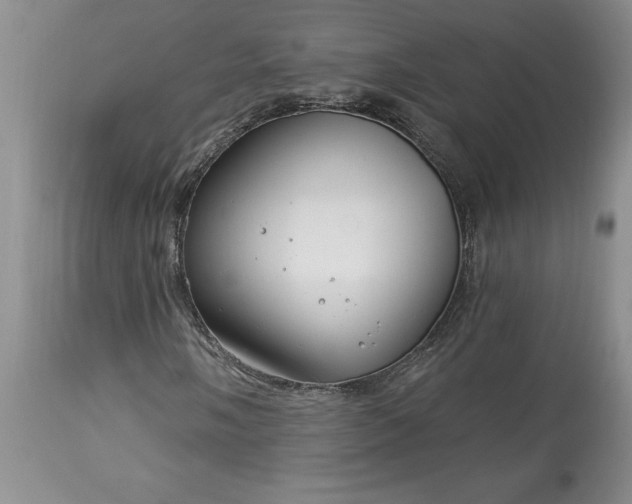 X0000113581058200910021647