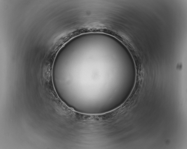 X0000113581063200910021647