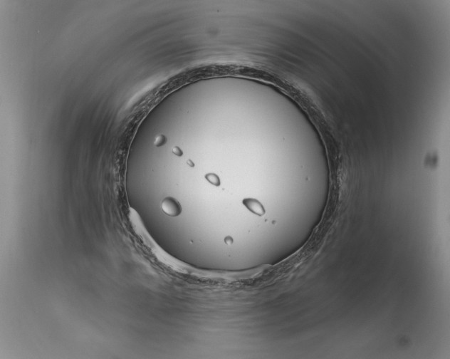 X0000113581064200910021647