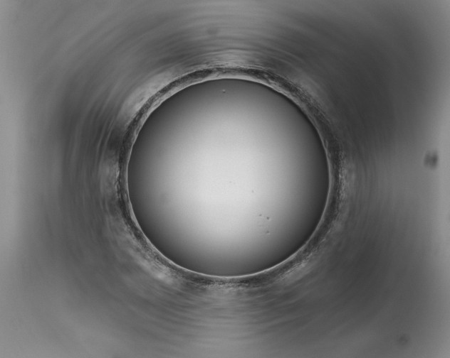 X0000113581065200910021647