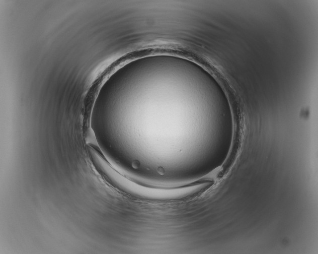 X0000113581066200910021647