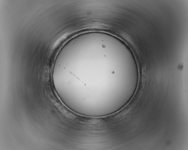 X0000113581067200910021647