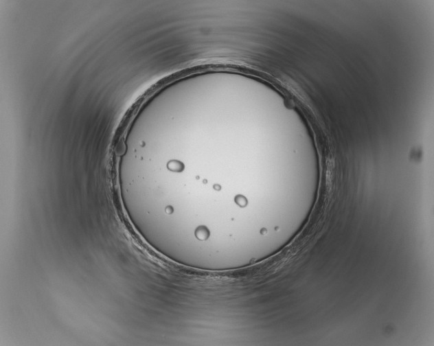 X0000113581068200910021647