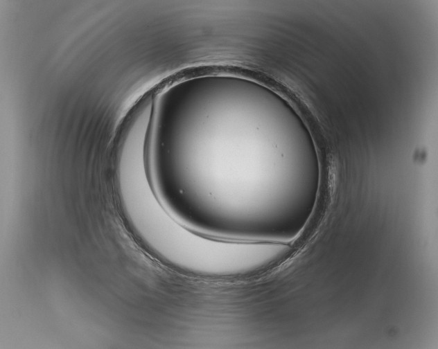 X0000113581069200910021647