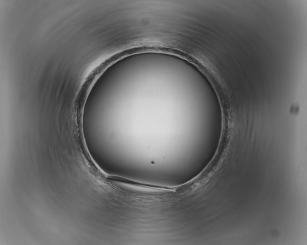 X0000113581070200910021647