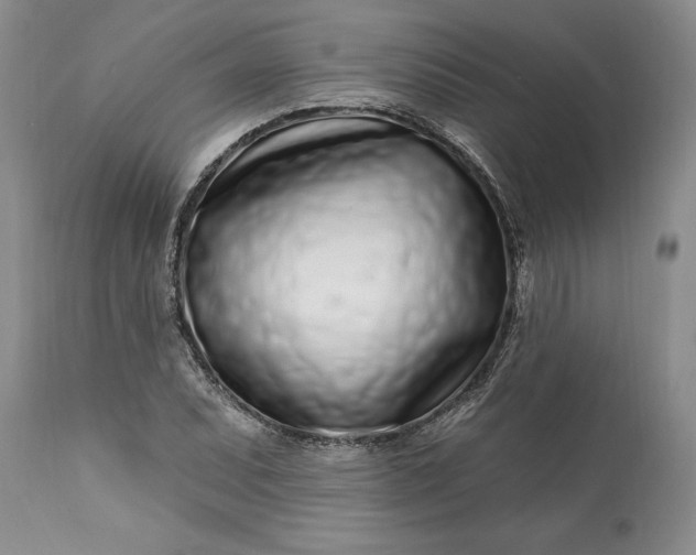 X0000113581071200910021647