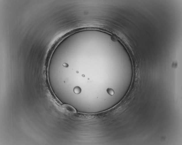 X0000113581072200910021647