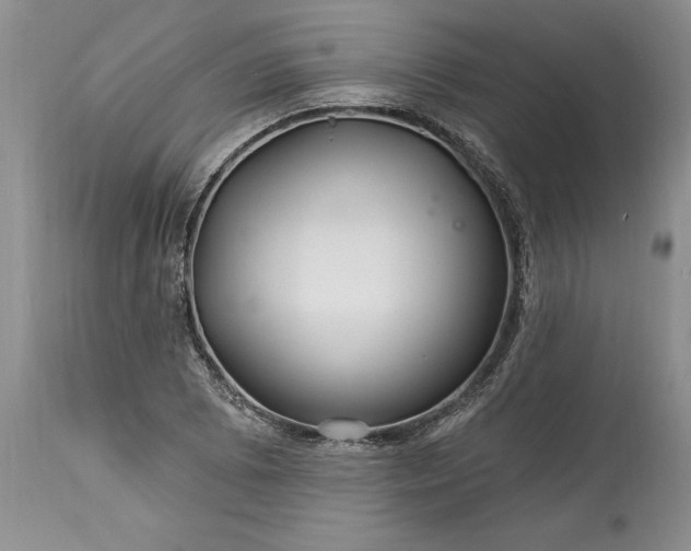 X0000113581073200910021647