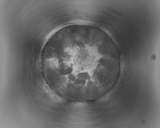 X0000113581074200910021647