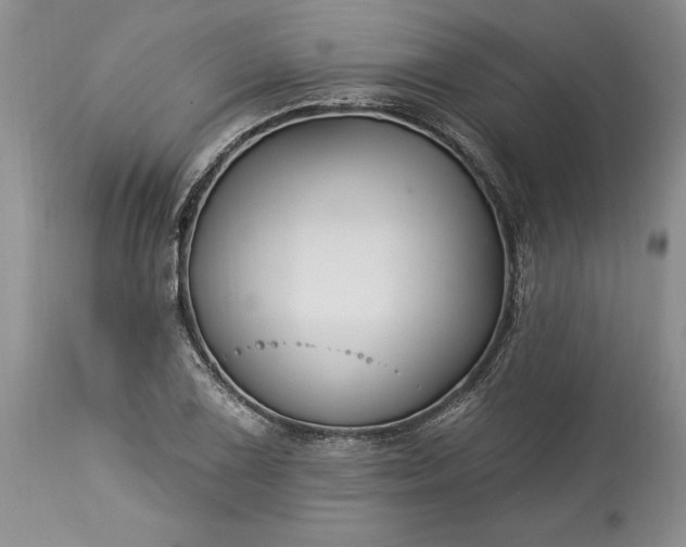 X0000113581075200910021647