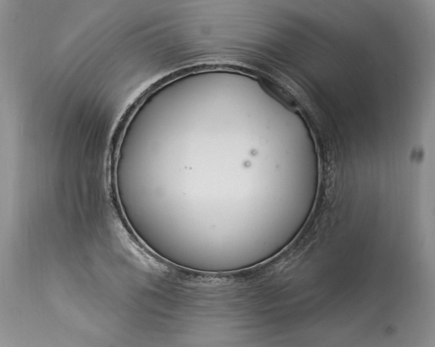 X0000113581076200910021647