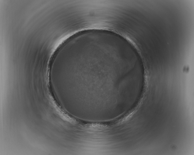 X0000113581077200910021647