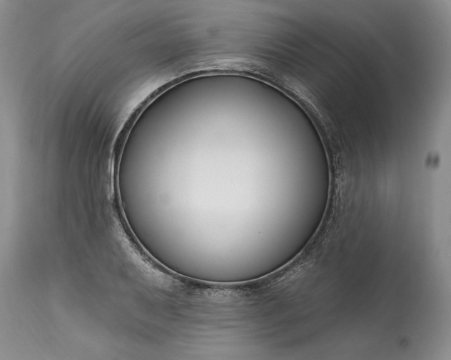 X0000113581079200910021646