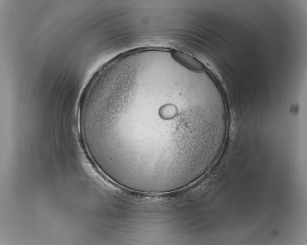 X0000113581080200910021646